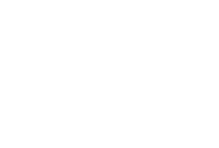 Logo DJI
