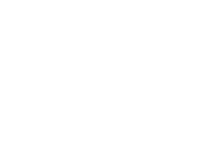 logo-delair-blanco
