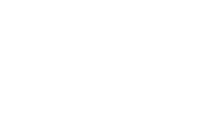 Logo Flir