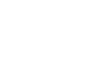 chnspec-logo-blanco-copia