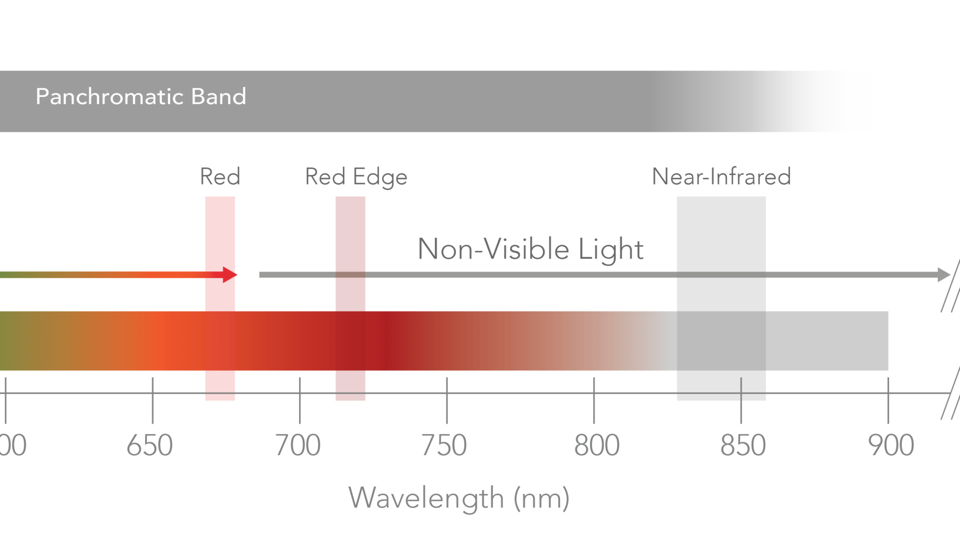 Spectrum-ALT-PT-English_English-Thermal