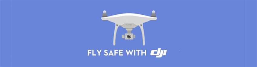 play-safe-copia