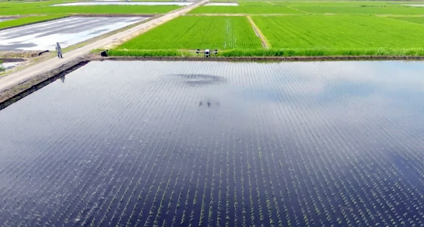 Spraying-Drones-Japan-copia