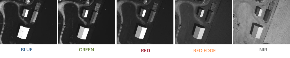 raw-images-labeled