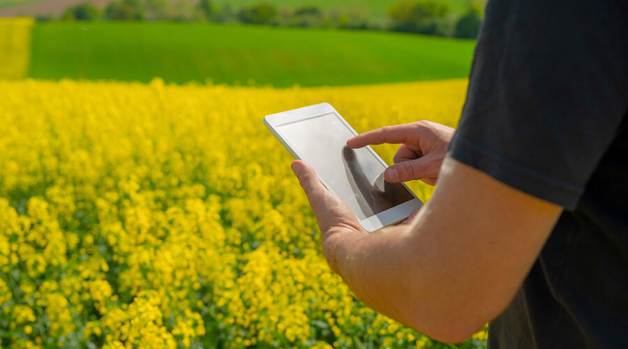 Cómo crear mapas de pulverización puntual en agricultura de precisión