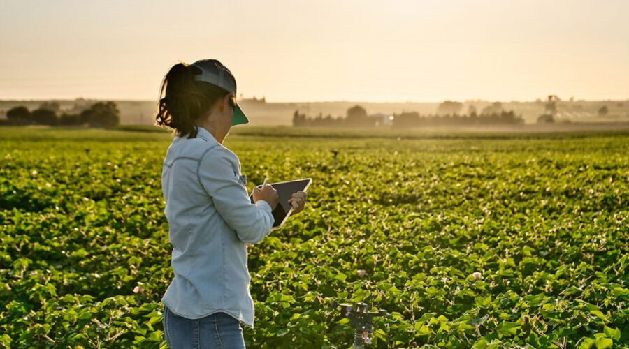 Te esperamos en AGROEXPO 2024 con las novedades más recientes en el uso de drones para el sector agrícola.