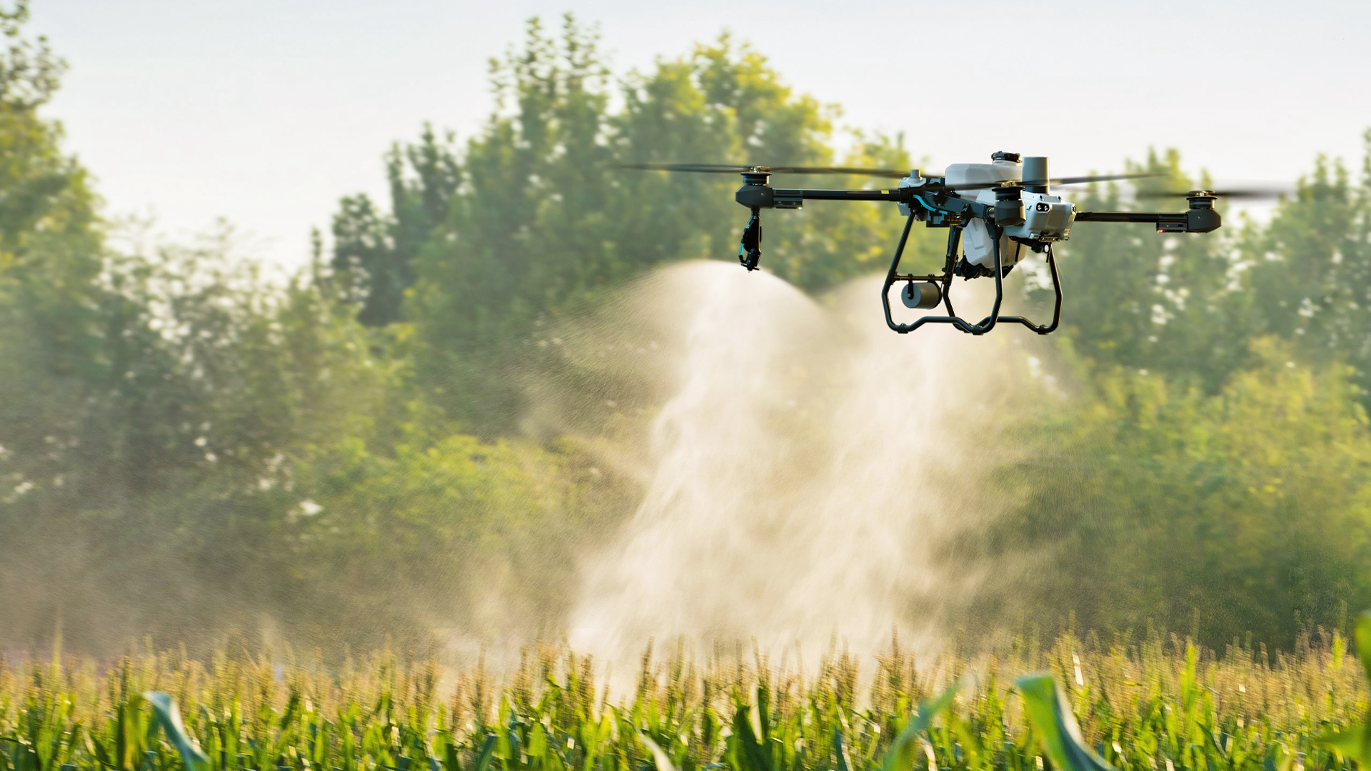 dji dron pulverizador