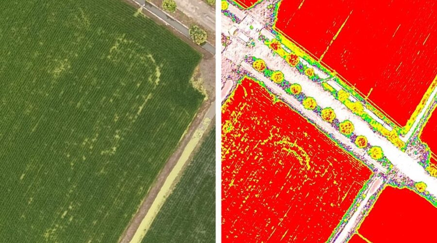 dron para análisis de cultivo en alquiler