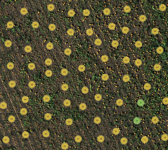 rededge-p-plant-counting