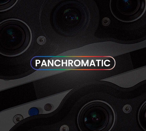 RedEdge-P-dual-panchromatic