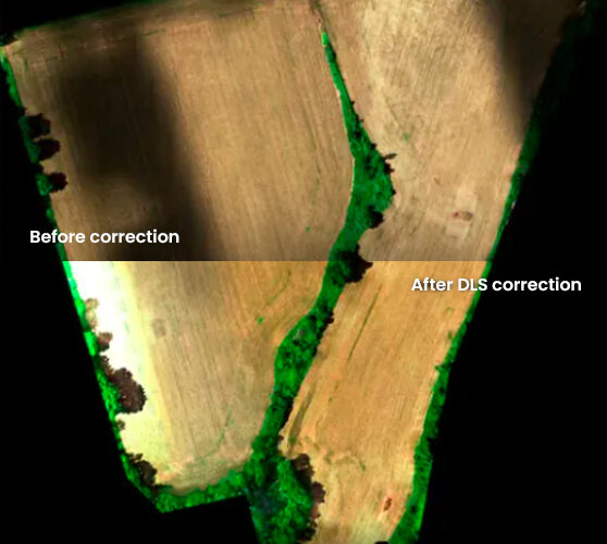 micasense-before-after-dsl-correction-2