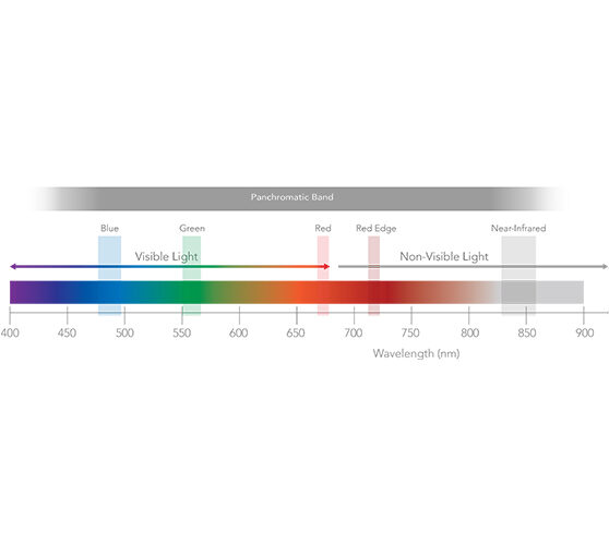 altum-PT-bands-square