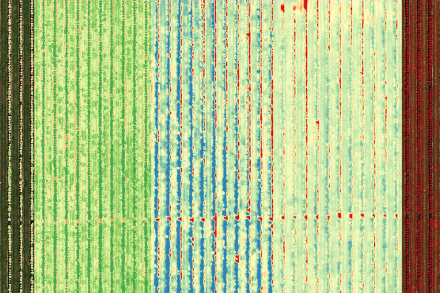 altum-campo-multi