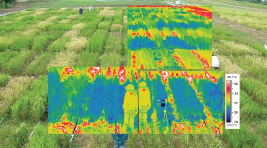 camara para dron multiespectral