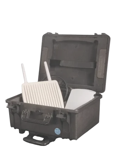 hydra100