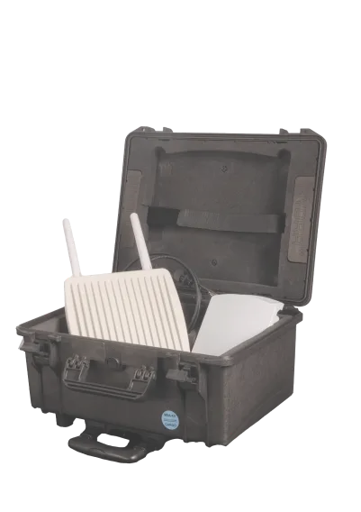 hydra100