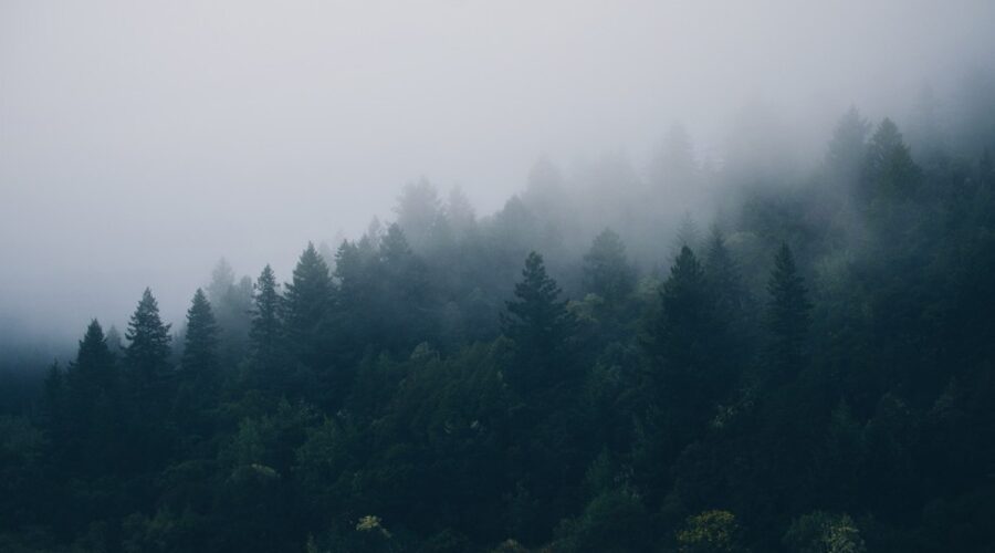Medio ambiente