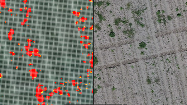 Spot Spraying - Mapas de prescripción