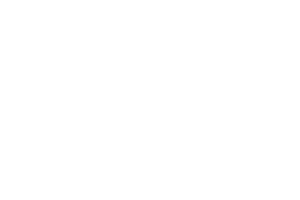 AgEagle