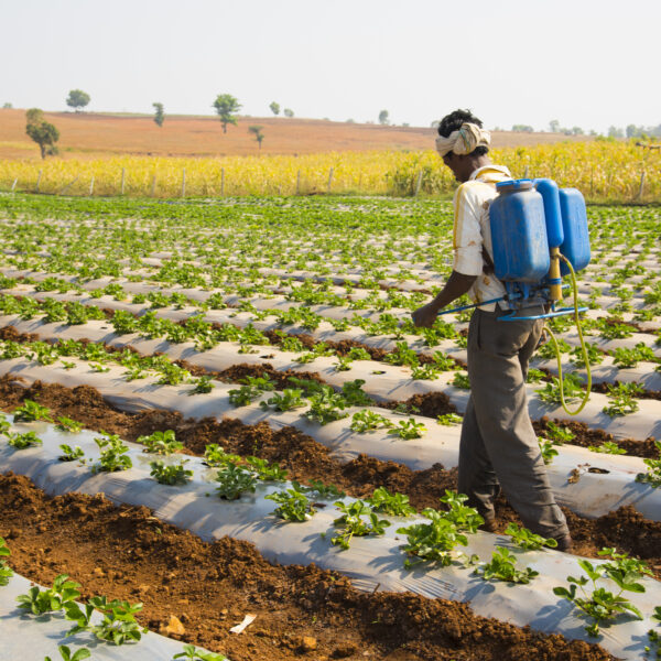 APLICACION DE INSUMOS EN AGRICULTURA DE PRECISION