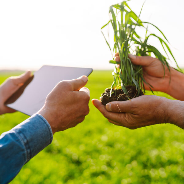 Agricultura de Precisión: Soluciones para el Sector Agrícola