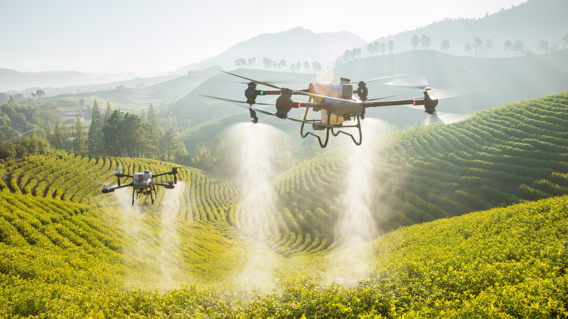 FUMIGACIÓN CON DRONES EN TERRENO INACCESIBLE