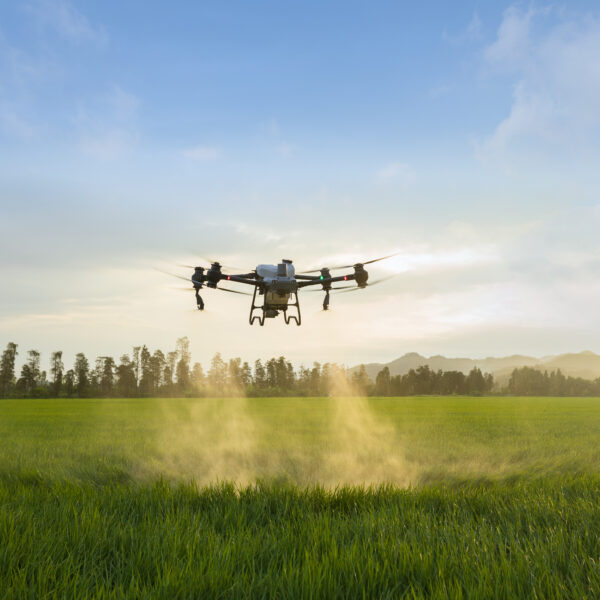 DRON FUMIGACION T50