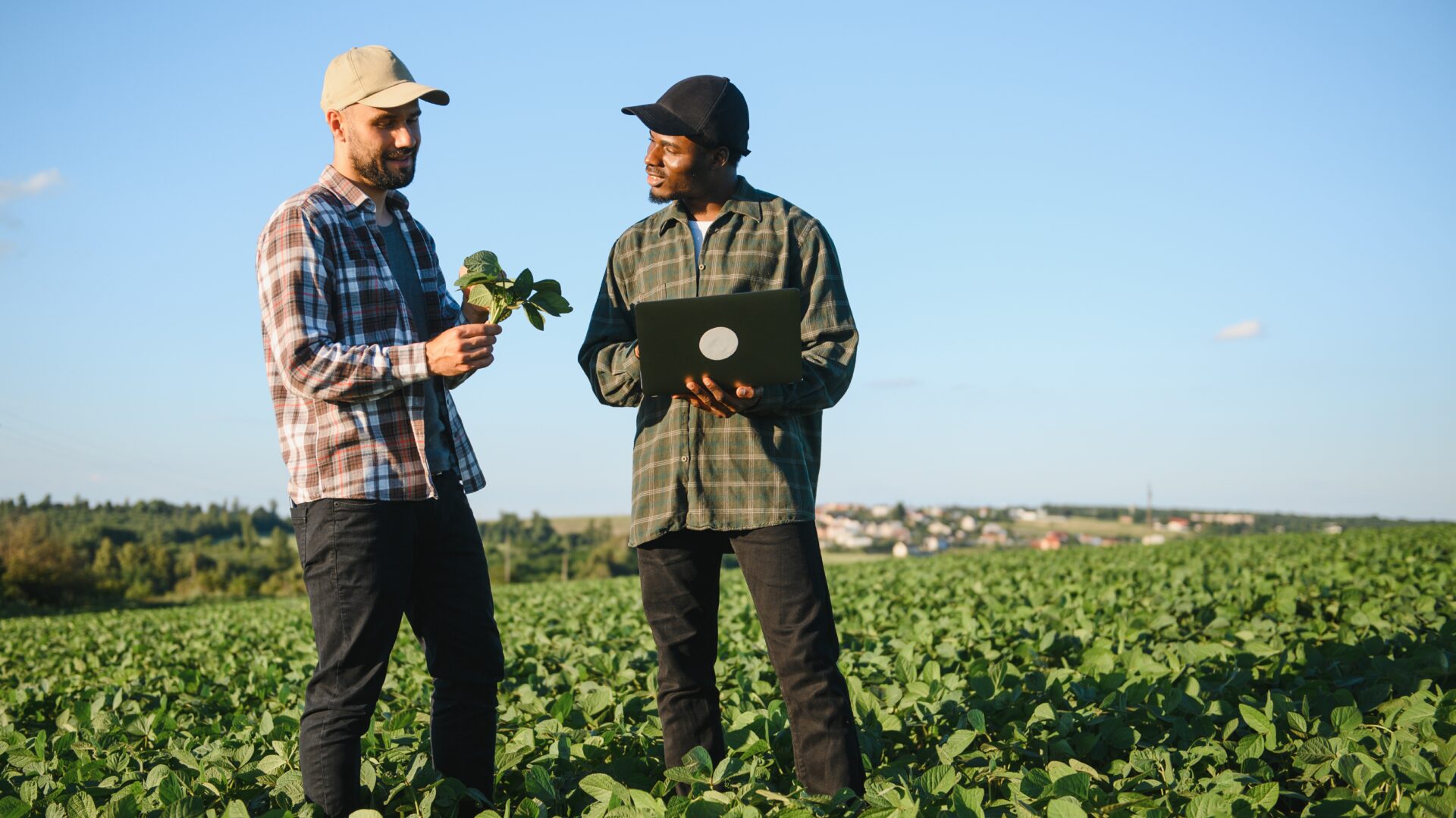 INVESTIGACION CON DRONES EN AGRICULTURA