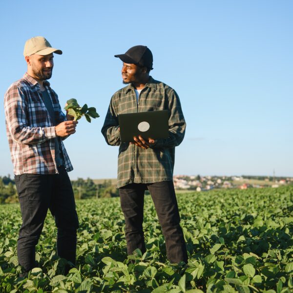 INVESTIGACION CON DRONES EN AGRICULTURA