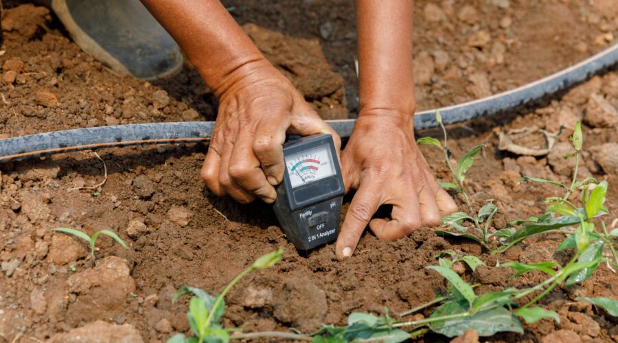 RECOPILACION DE DATOS EN CULTIVO MANUAL