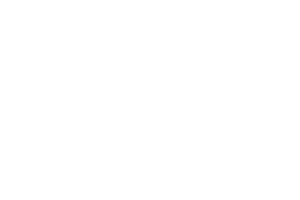 Distribuidor Amberg