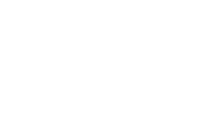 wingtra