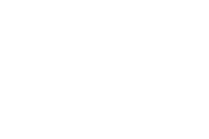 FLIR