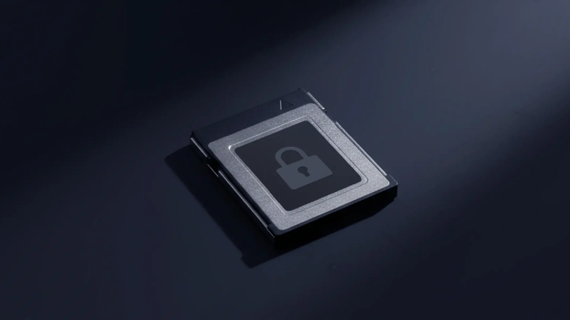 Seguridad de los datos