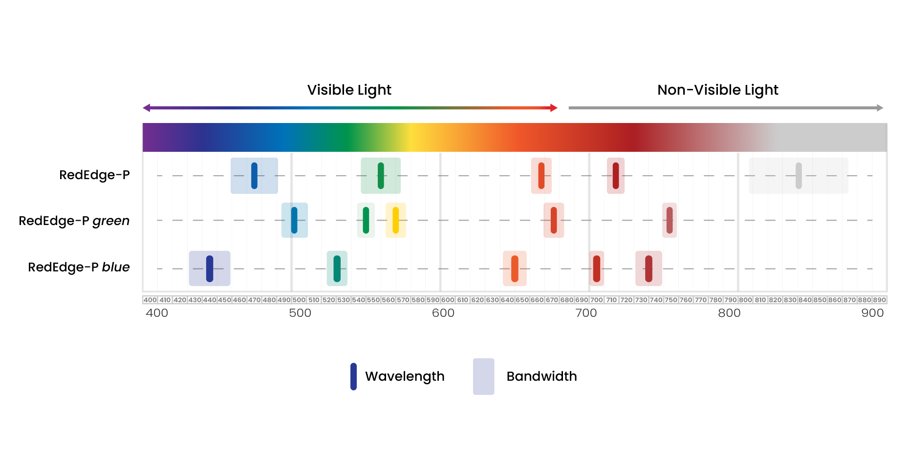 RedEdge-P_family_graph