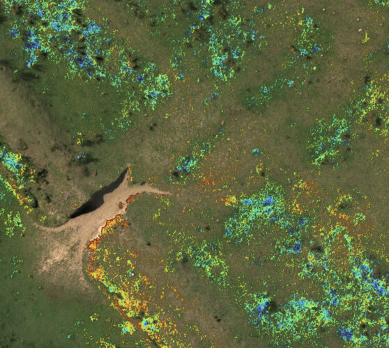 rededge-p-Wetland-Survey-in-Argentina
