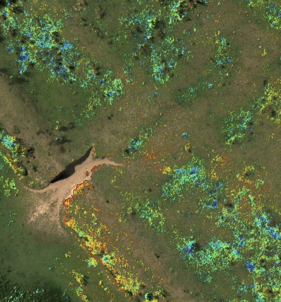 rededge-p-Wetland-Survey-in-Argentina