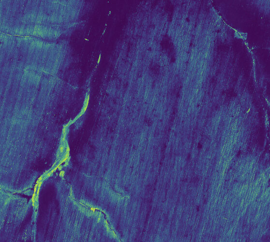 Variaciones de crecimiento en un campo de soja