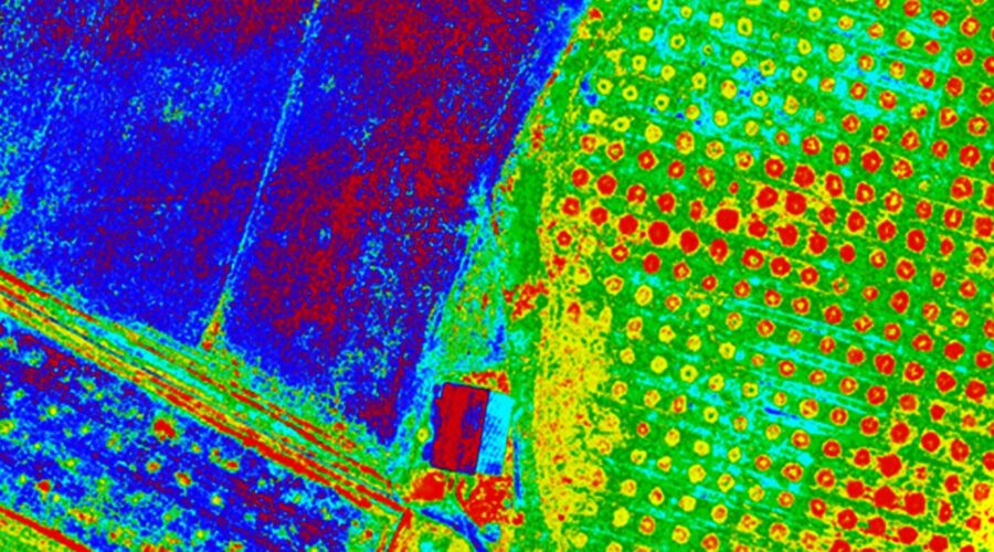 RedEdge-MX-sensor-NDVI-2-1536x768