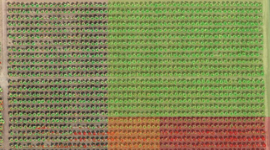 Chlorophyll-Map-zones-1200