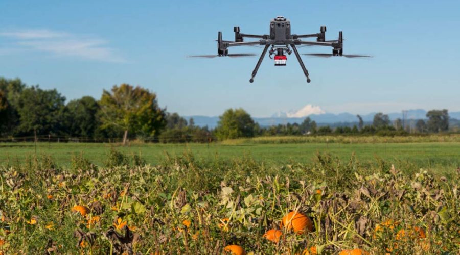 Inteligência artificial em cultivos: Analisamos a aprendizagem automática com dados multiespectrais