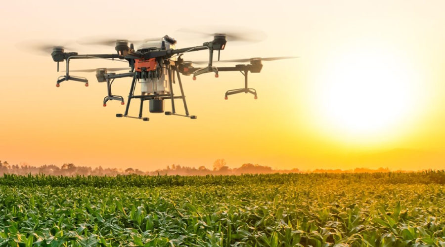 Tecnologia drone em agricultura de precisão. DJI AGRICULTURE