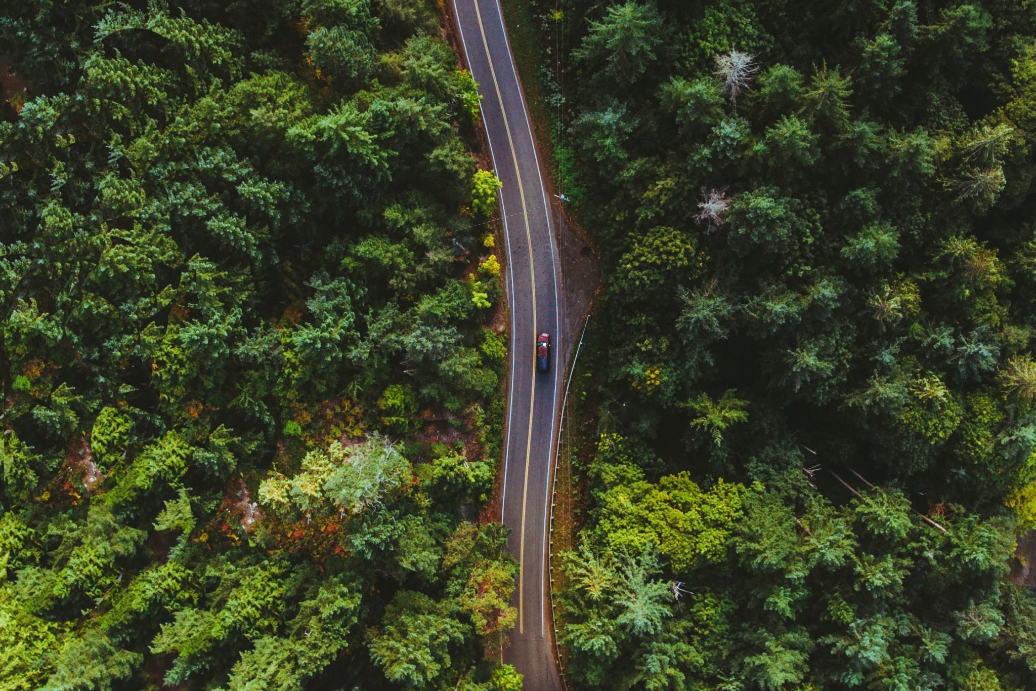 CAT SOFTWARE TERRASOLID