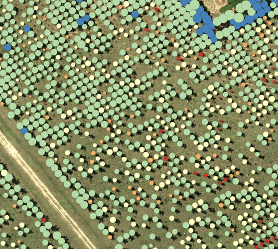 rededge-p-data-analyis-plant-counting