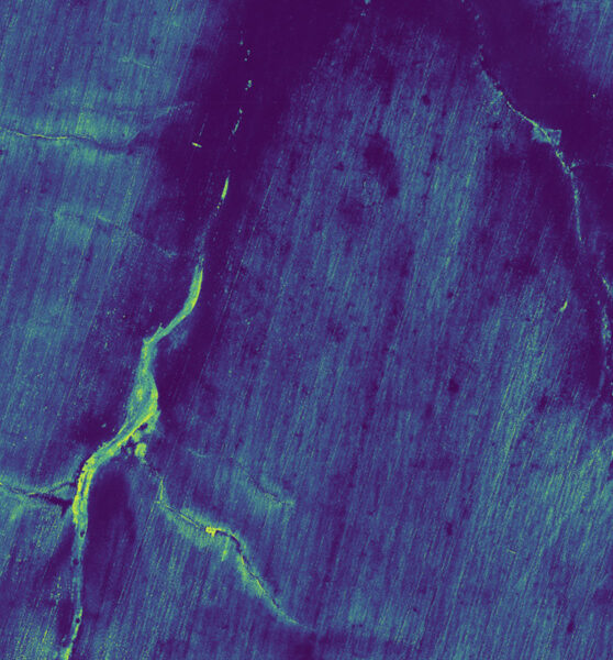 variaciones-de-crecimiento-en-un-campo-de-soja