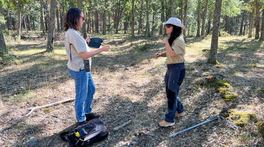 Dados revolucionários e precisos