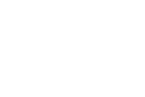 SkyFend
