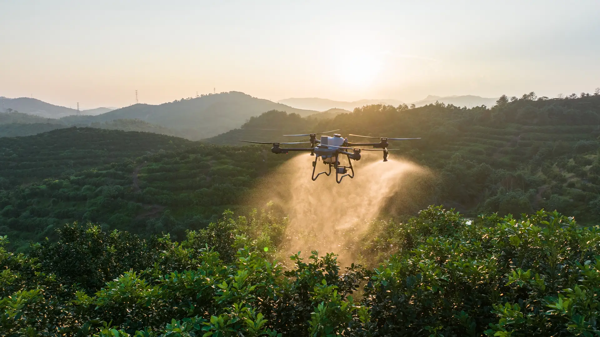 Dron pulverizador T25 P