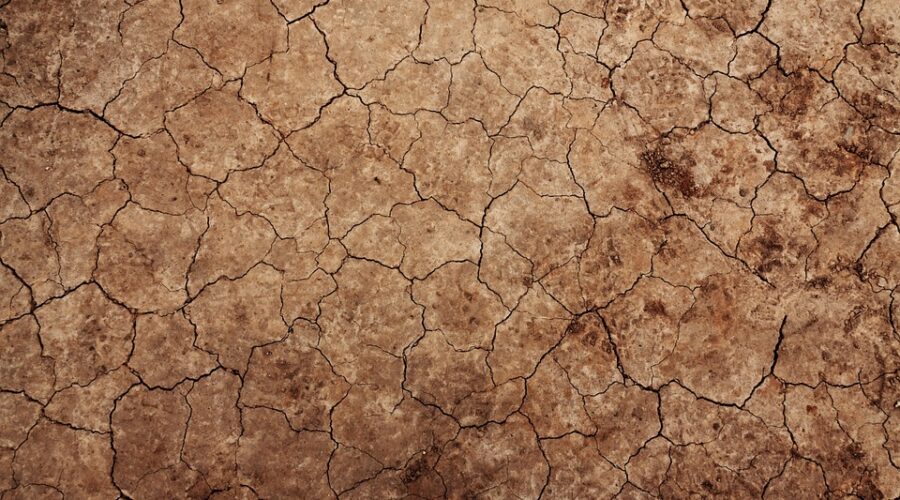 Obtención de ortofotos mediante fotografía aérea con cámara digital