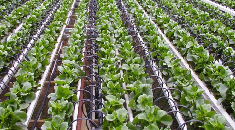 Agricultura de precisión | Tecnologías asociadas al análisis de cultivos